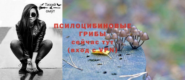 гидропоника Абдулино