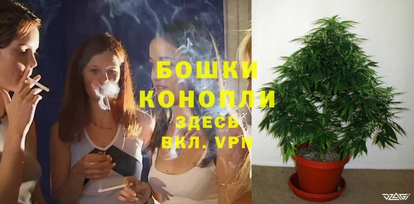 шишки Кукмор