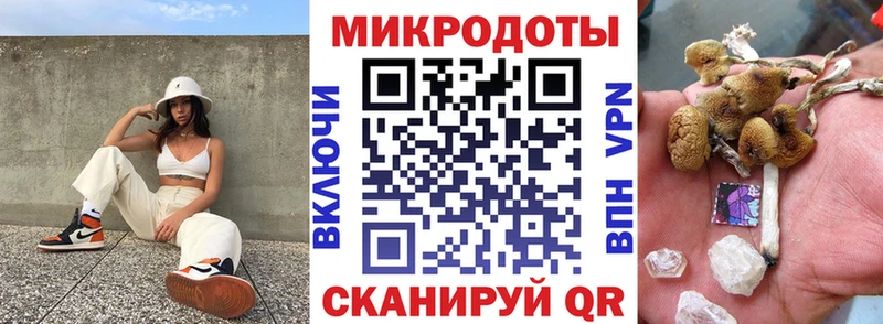 гидра сайт  Шиханы  Галлюциногенные грибы Psilocybine cubensis 