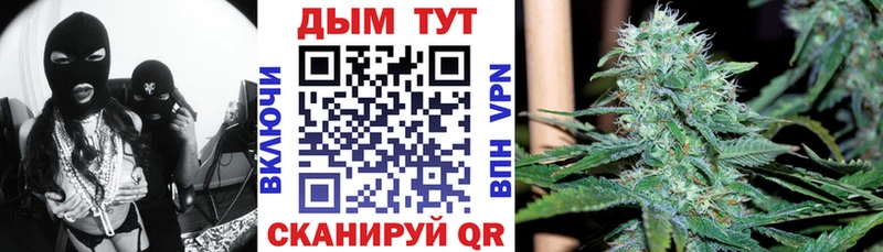 Конопля сатива  блэк спрут ТОР  Шиханы 